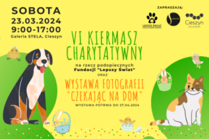 VI Kiermasz Charytatywny oraz Wystawa „Czekając na dom”